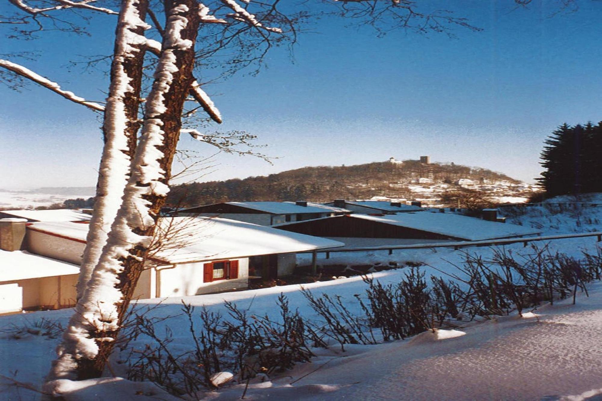 Falkenstein  Ferienwohnung Im Ferienpark Falkenstein מראה חיצוני תמונה